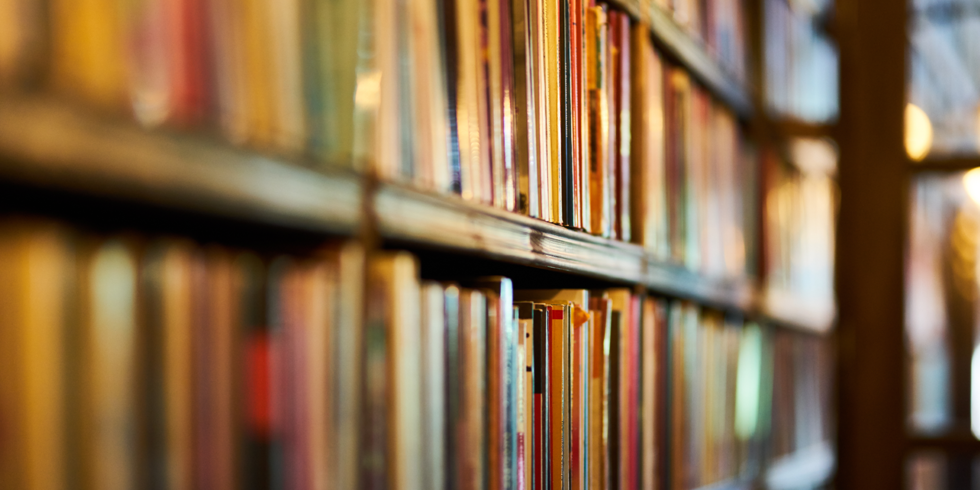 Photo of books on a shelf