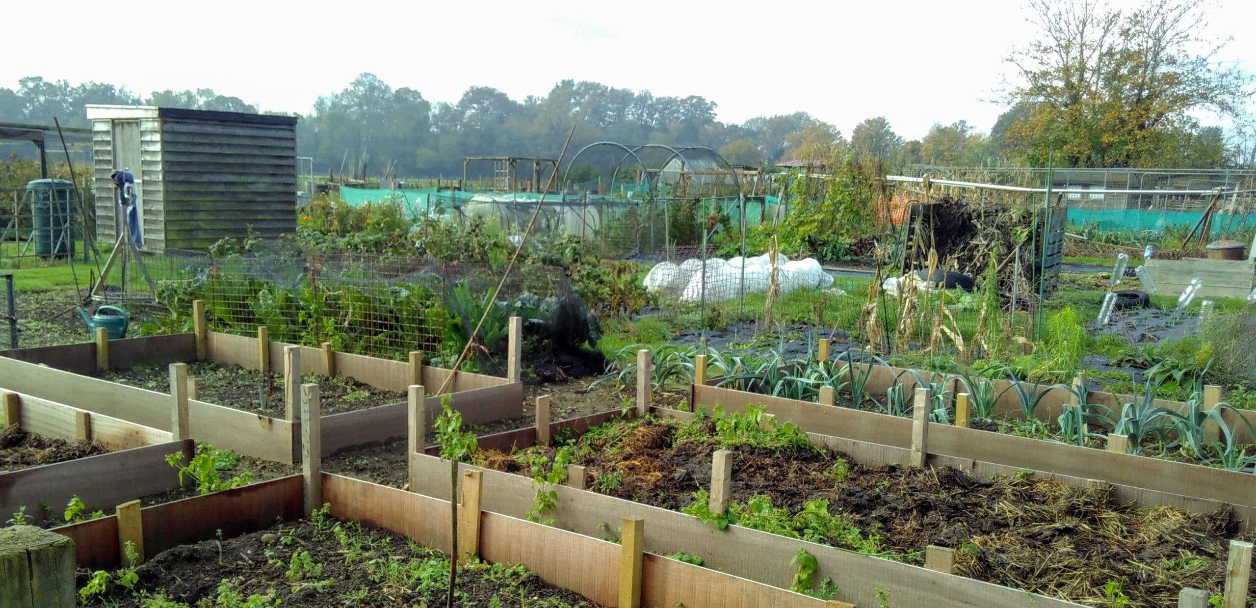 Allotments