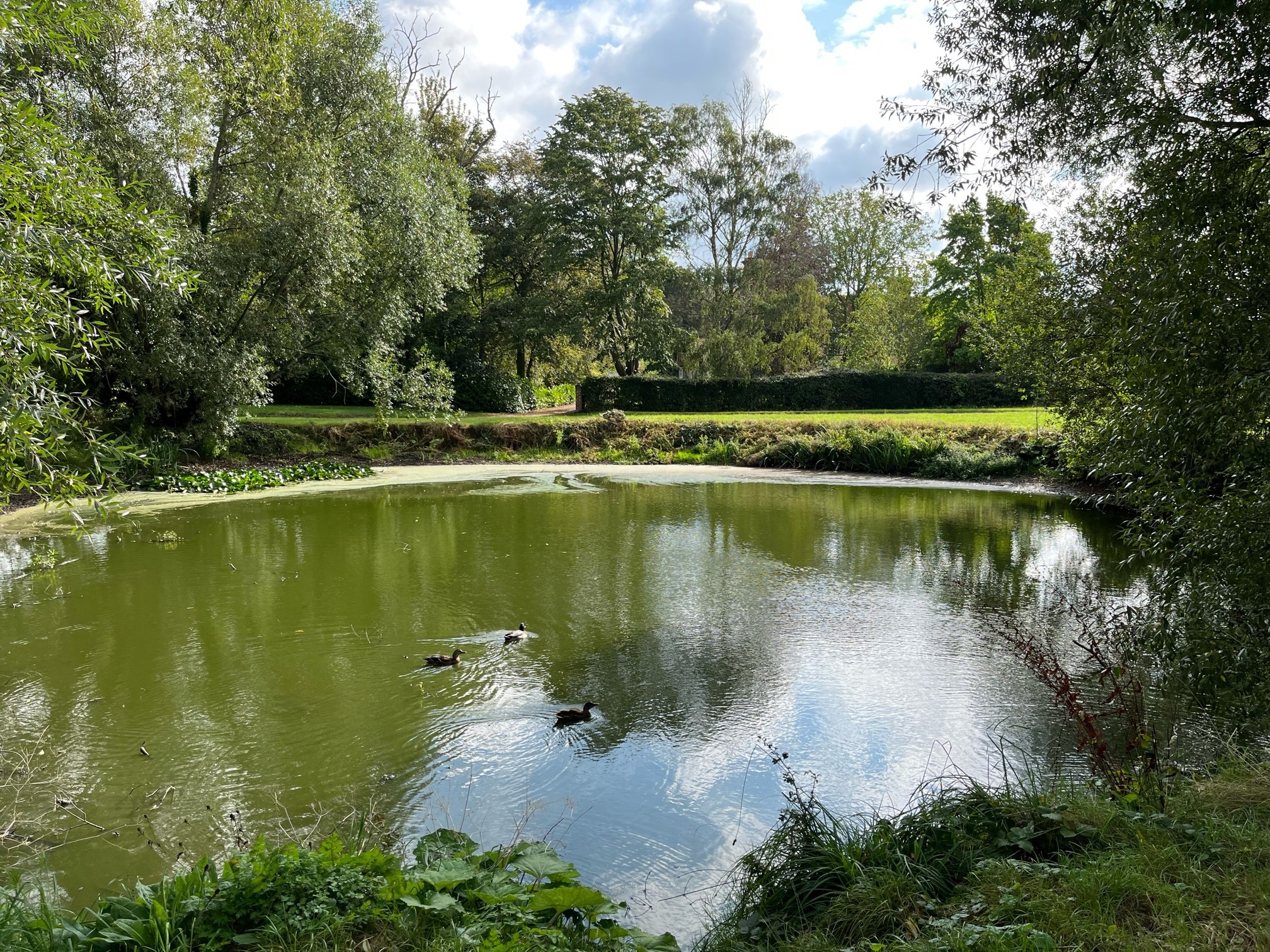 Pikes Pond