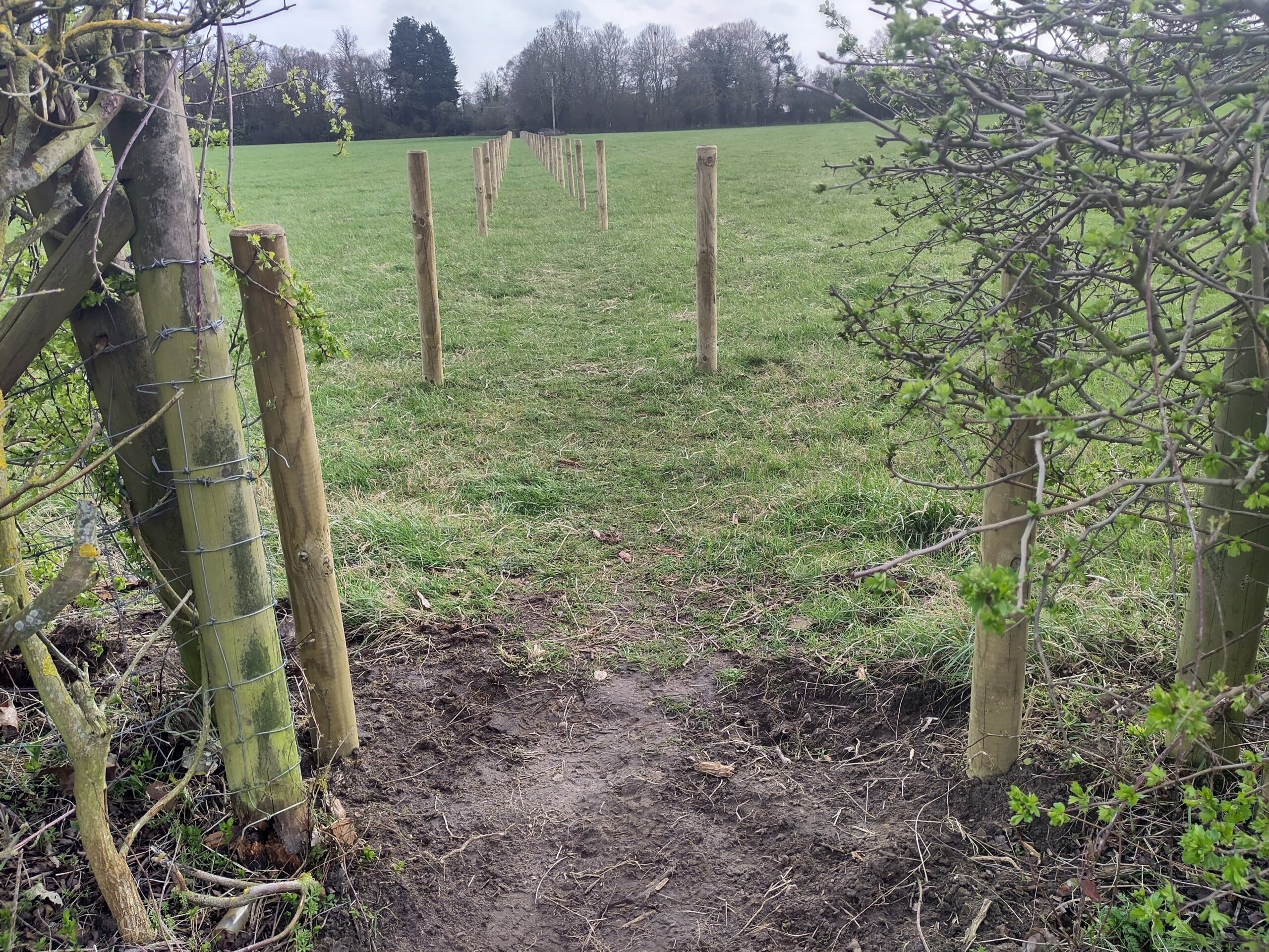 Picture shows removal of the stile